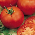 Томат Рассвет F1