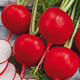 Редис Кардинал F1